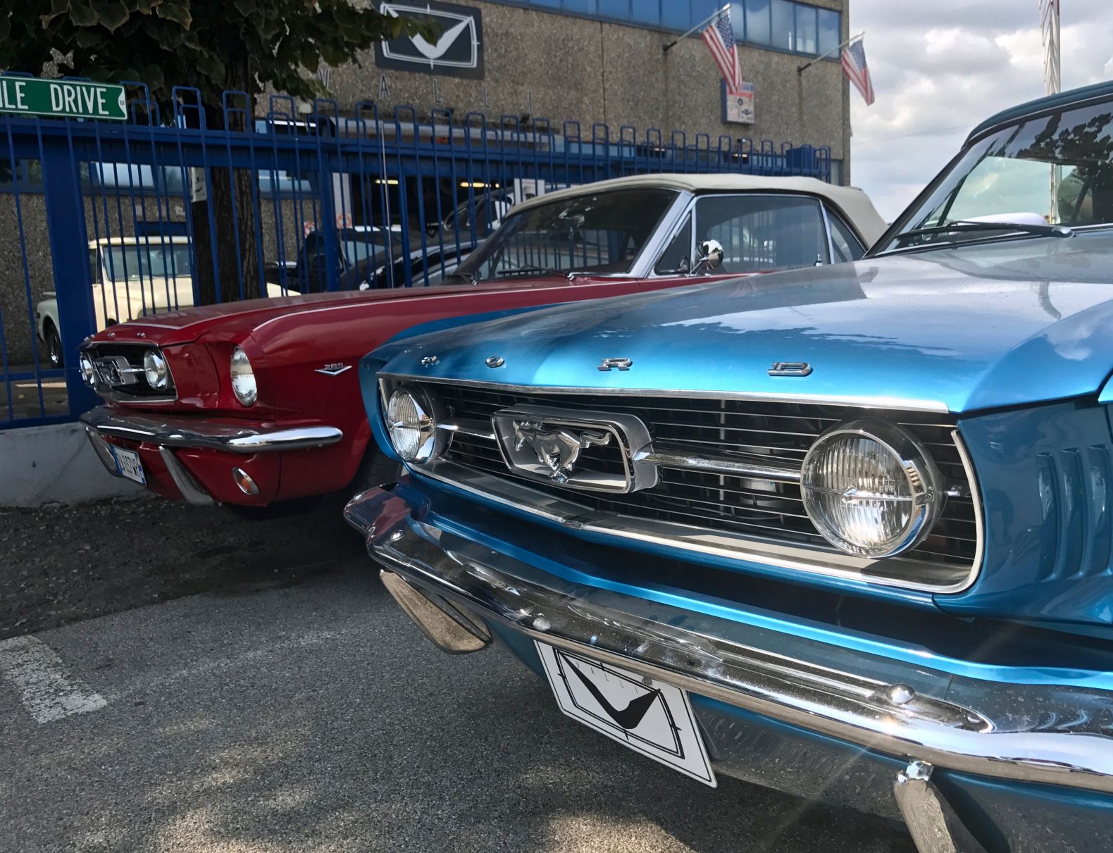 1966 Mustangs.jpg